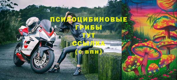 не бодяженный Верхний Тагил