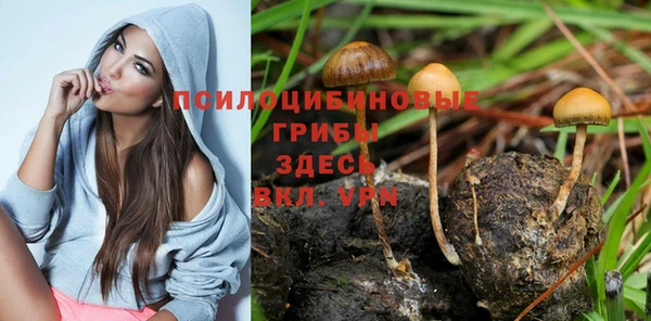 МДМА Верея